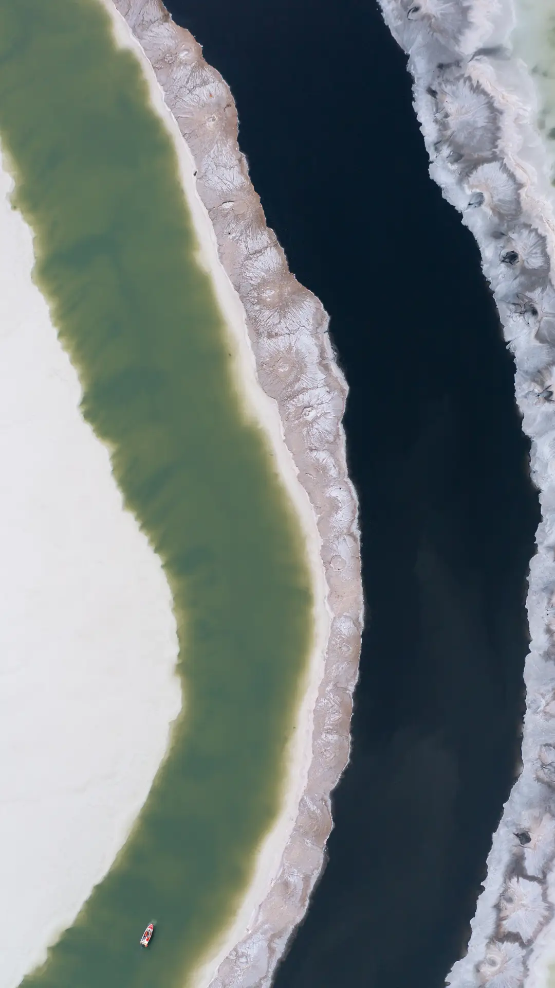 2021年度手机壁纸大赛优秀作品