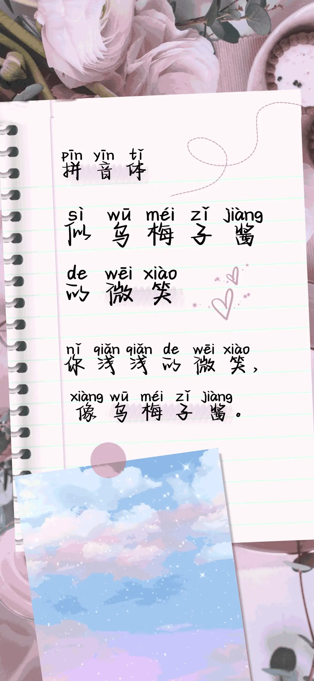 乌梅子酱的微笑拼音 - Screenshot 1