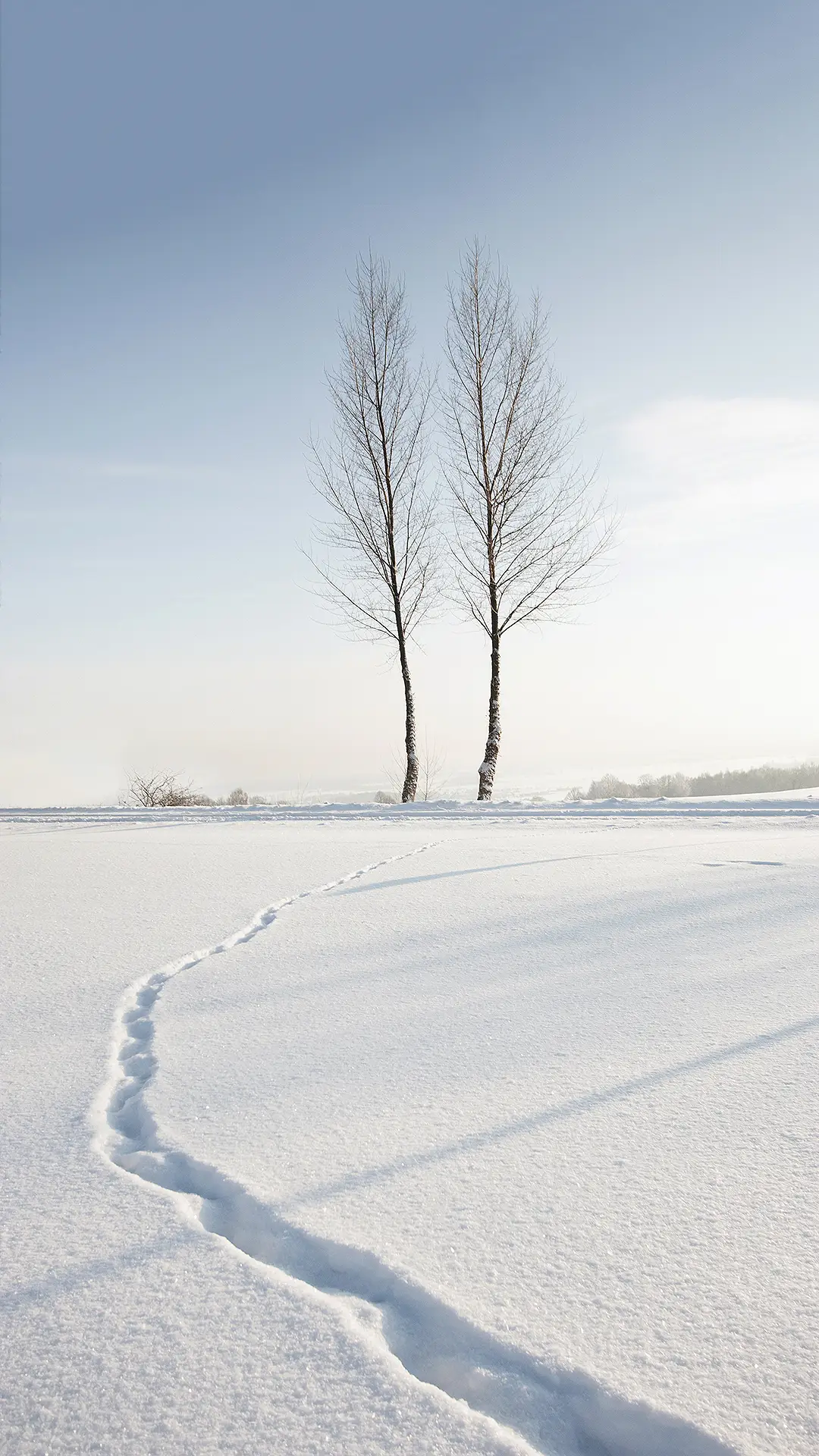 极简风格-拍信图库 - Screenshot 1
