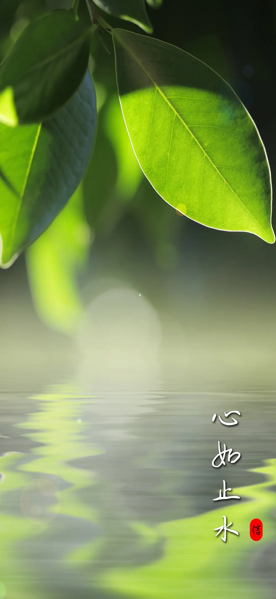 醉意流年-拍信图库