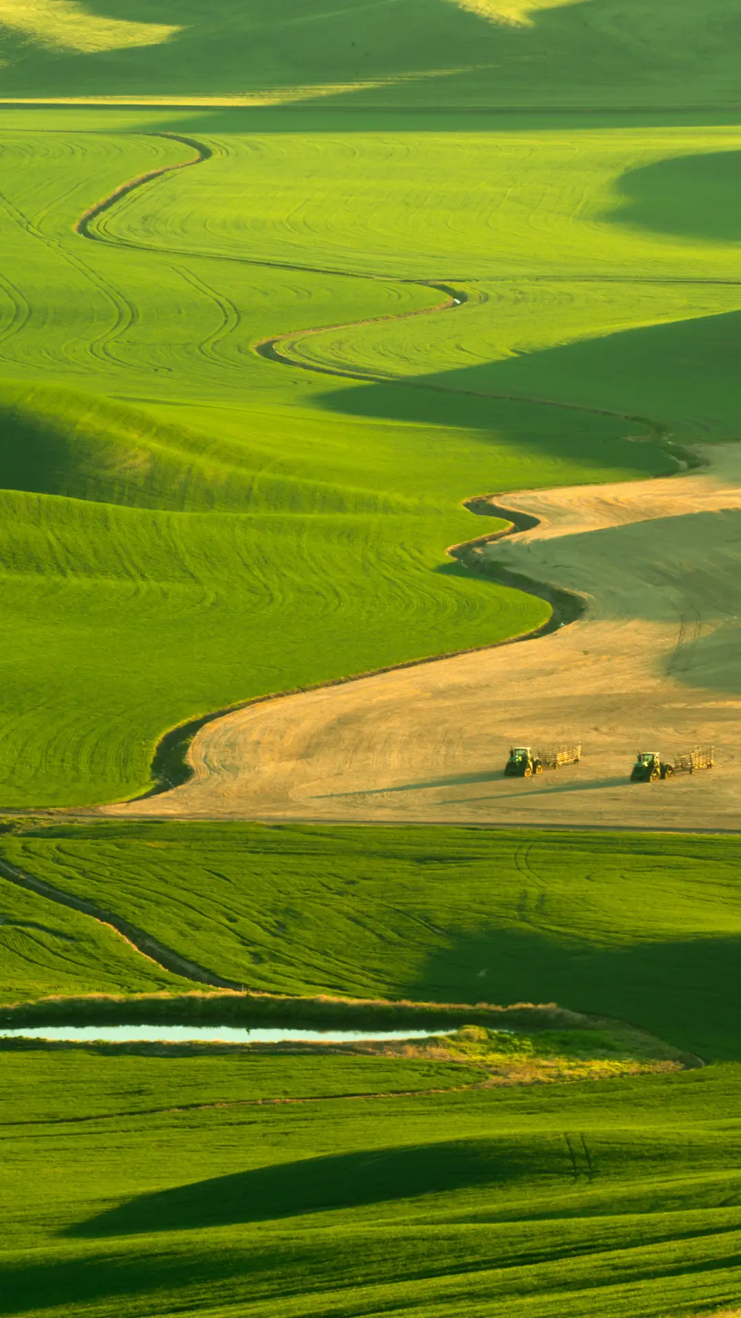 绿色风光-拍信图库 - Screenshot 1