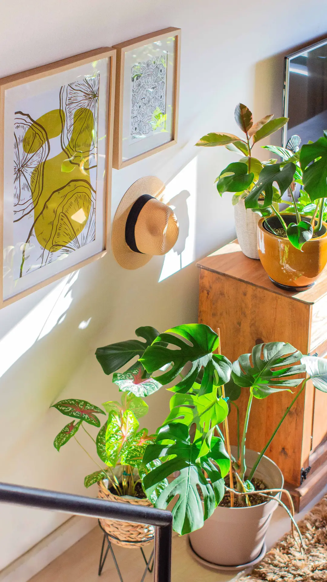 室内采光的改善