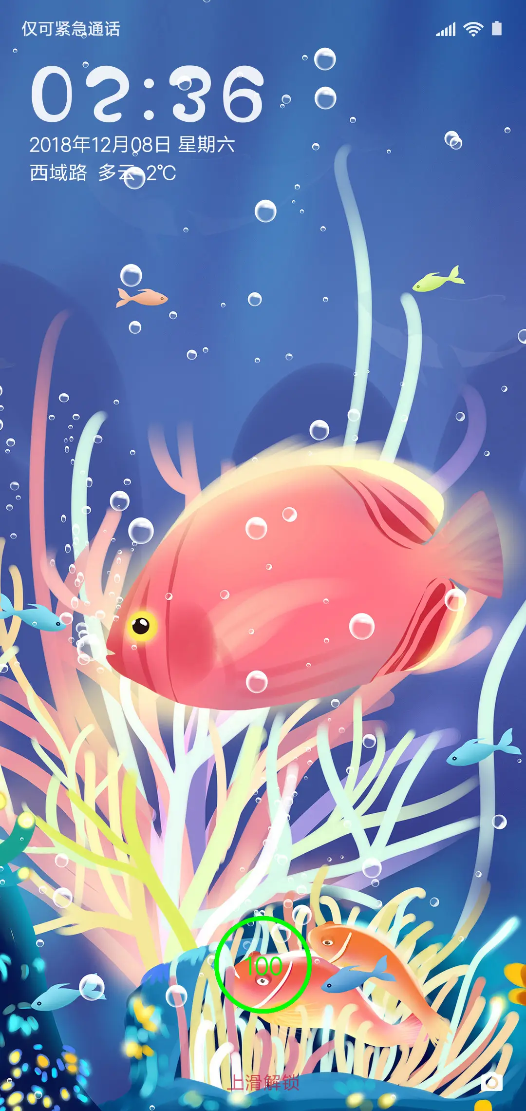 动态唯美珊瑚海