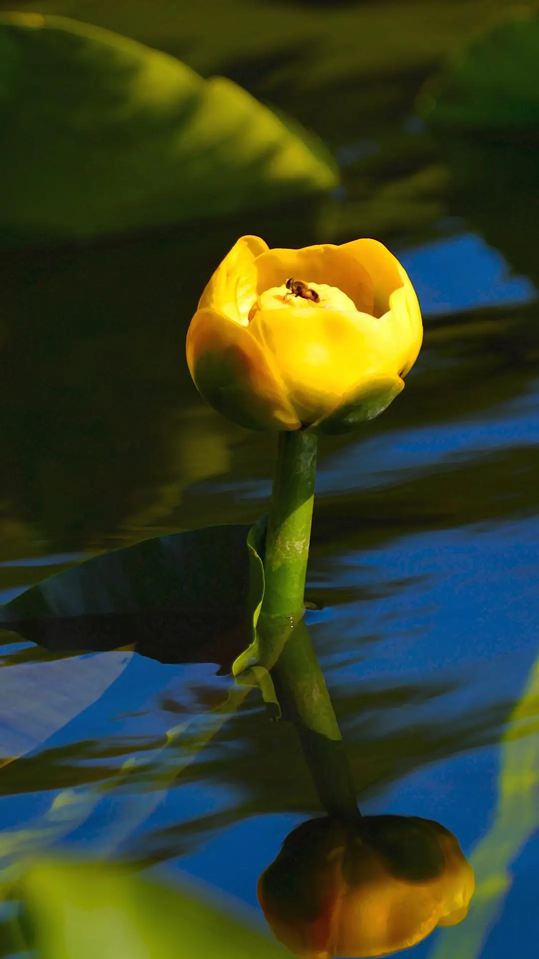 护眼绿植-视觉中国