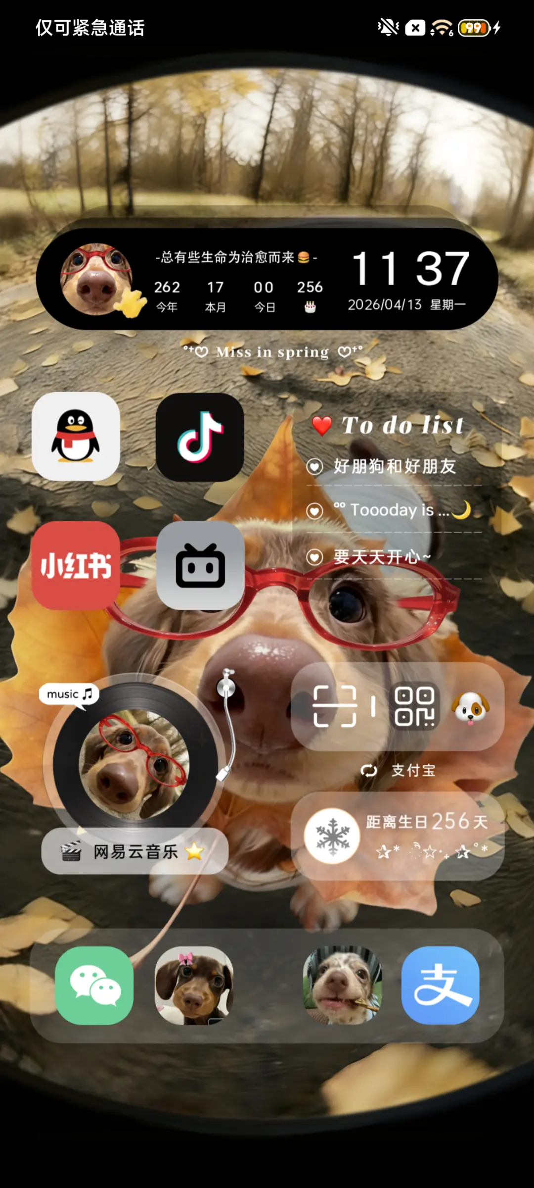重感hello小狗 - Screenshot 3