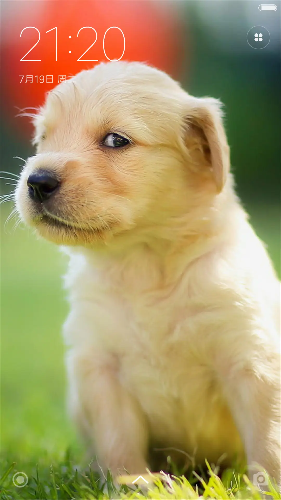 萌宠友情（好评送精美壁纸） - Screenshot 1