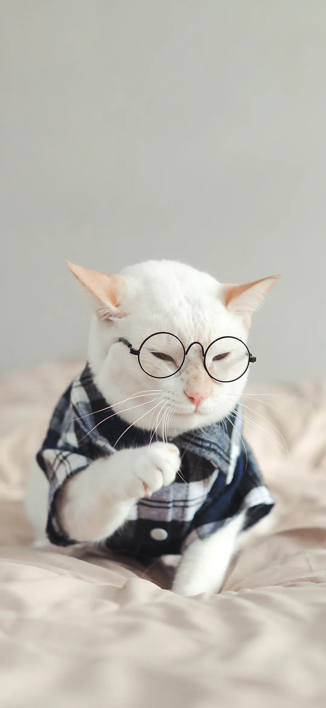 万物可爱-拍信图库