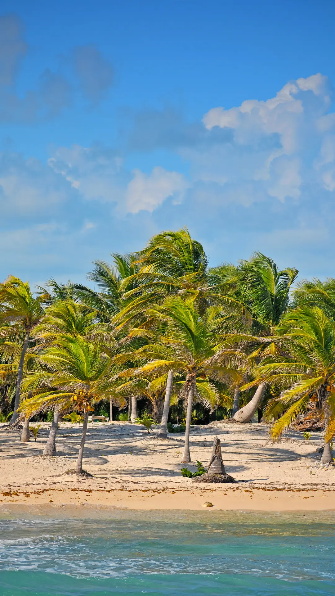 海岛日记-拍信图库