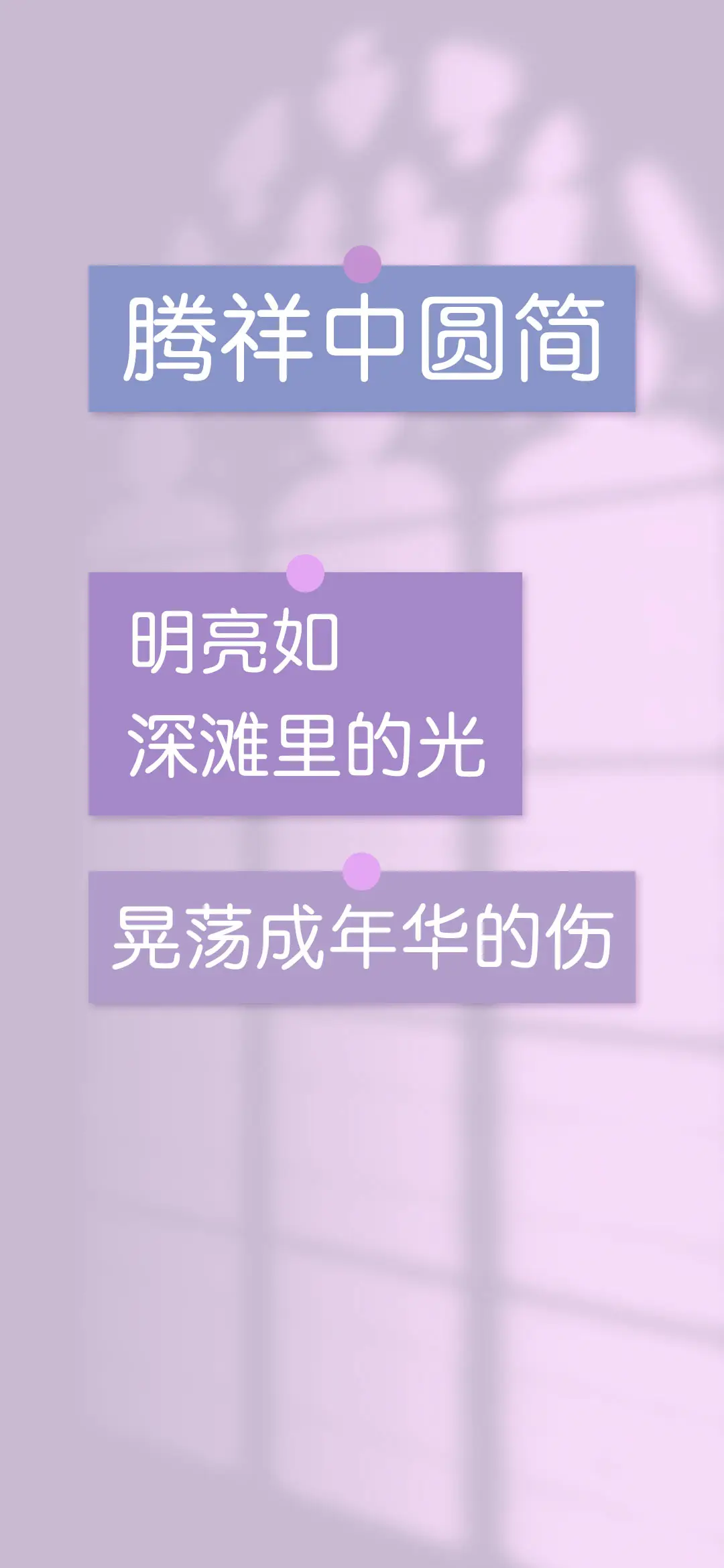 腾祥中圆简 - Screenshot 1