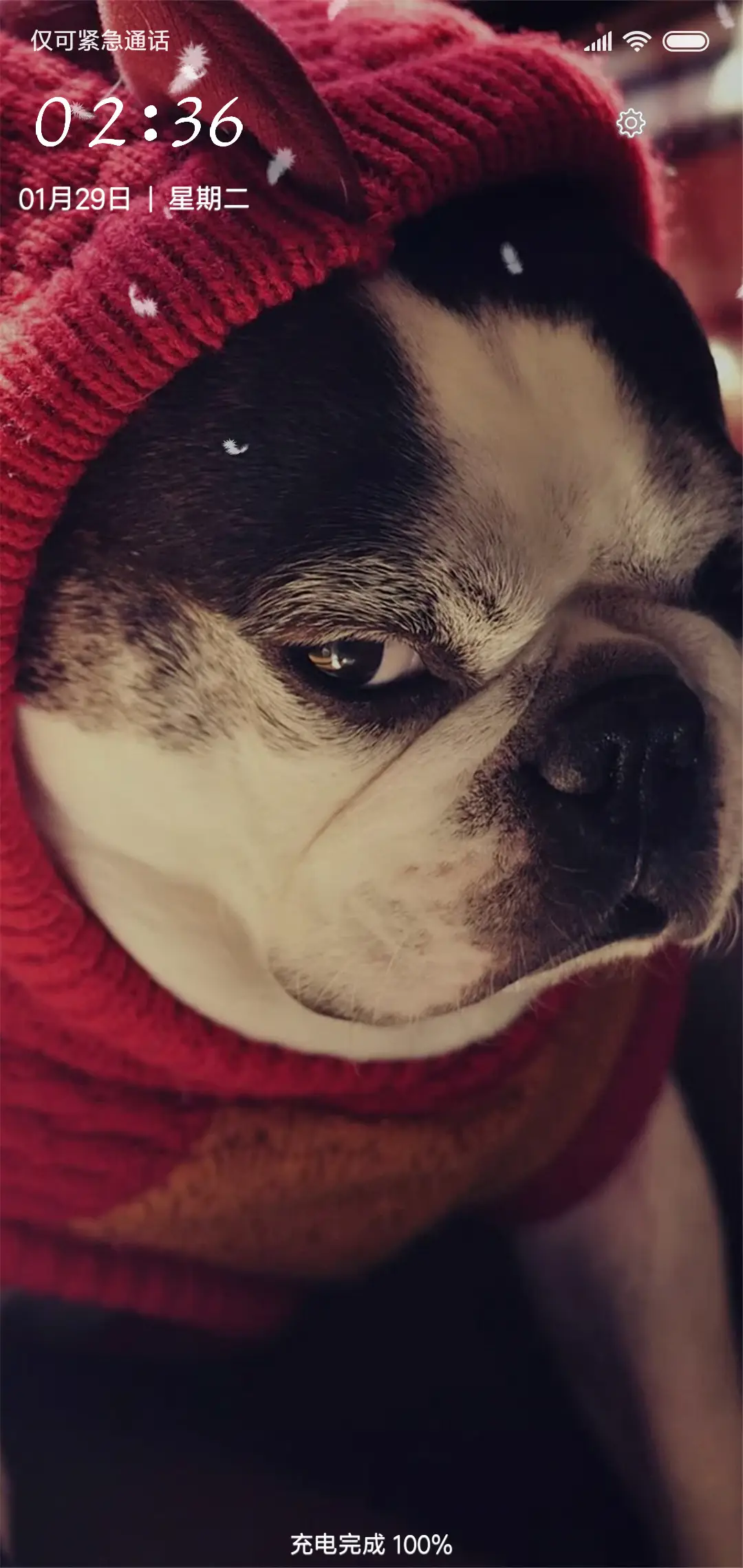 好萌好可爱 - Screenshot 1