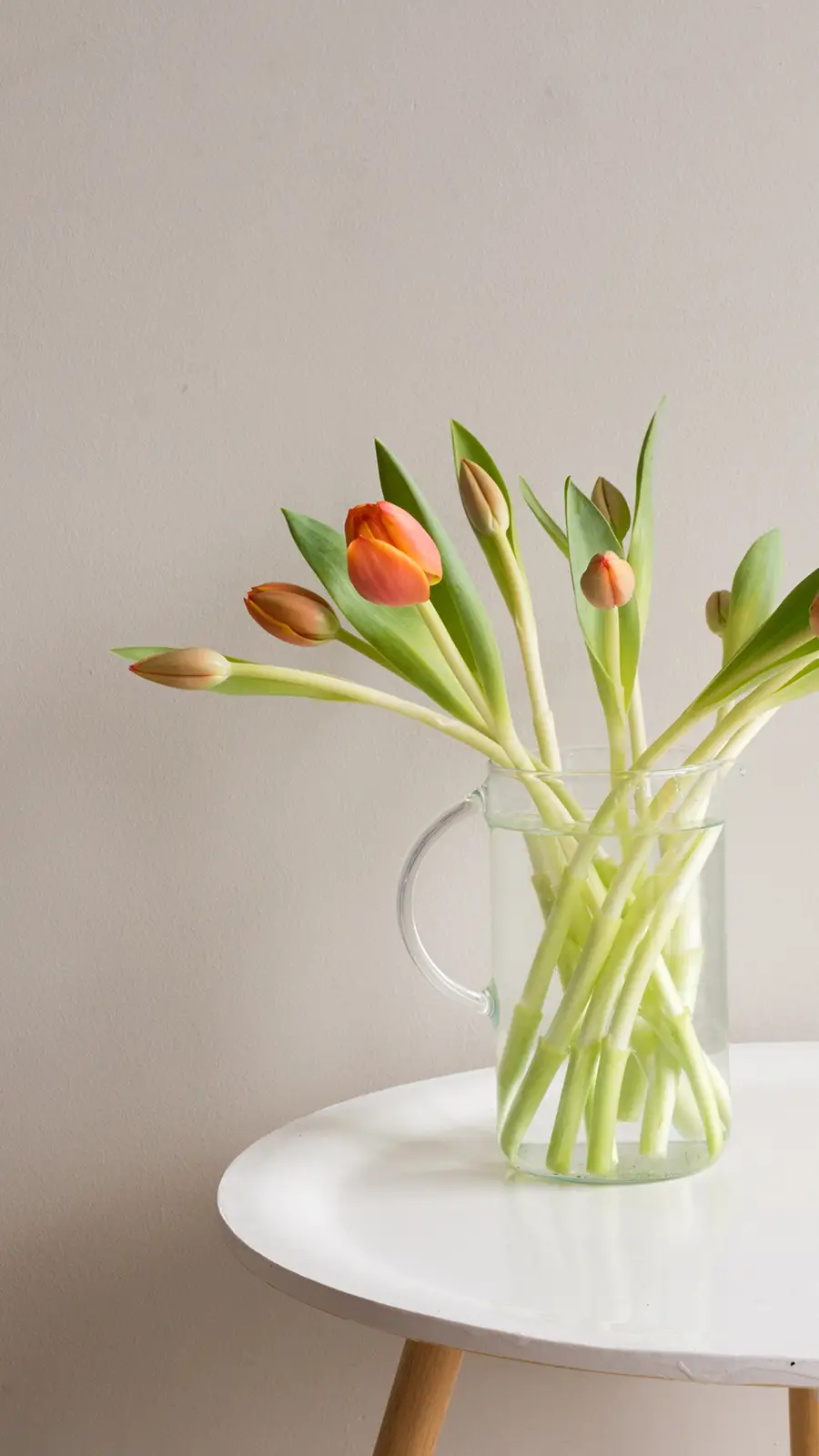 愿风裁尘 - Screenshot 1