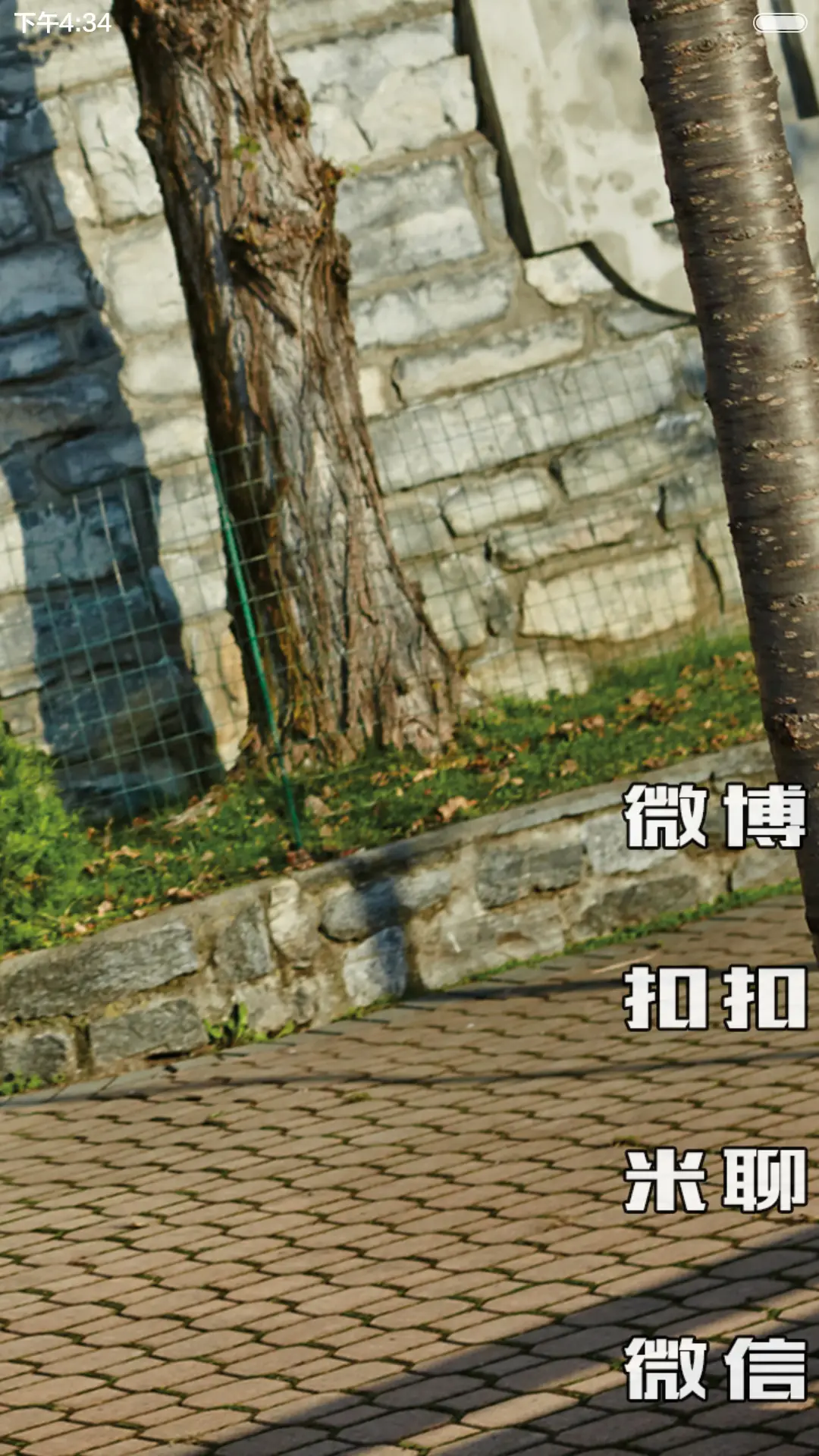 郑秀晶（多壁纸锁屏+密码屏+自由桌面） - Screenshot 6