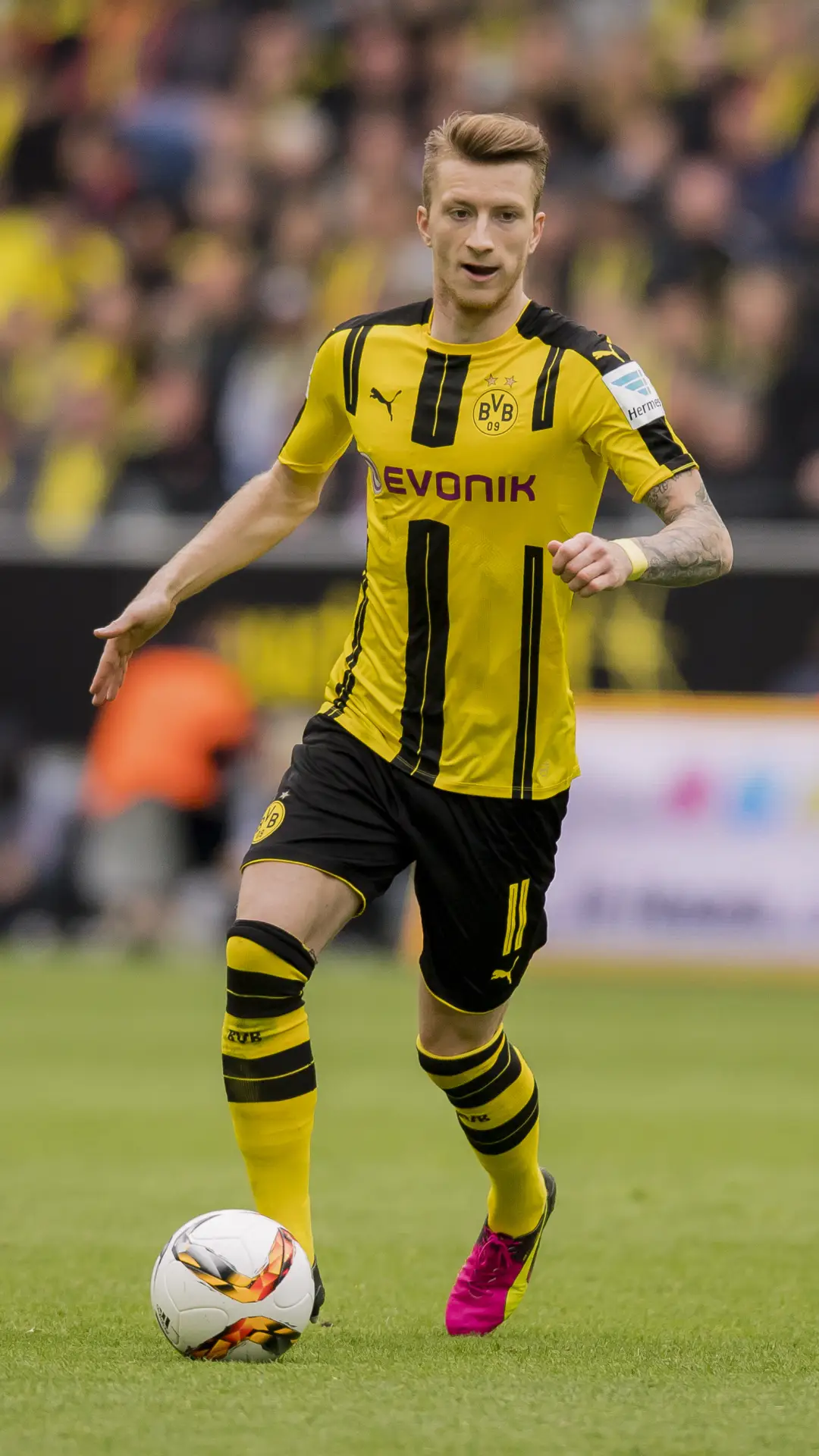 黄黑军团继承者罗伊斯