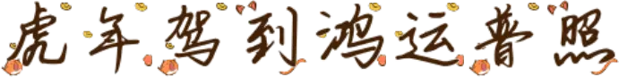 虎年驾到鸿运普照
