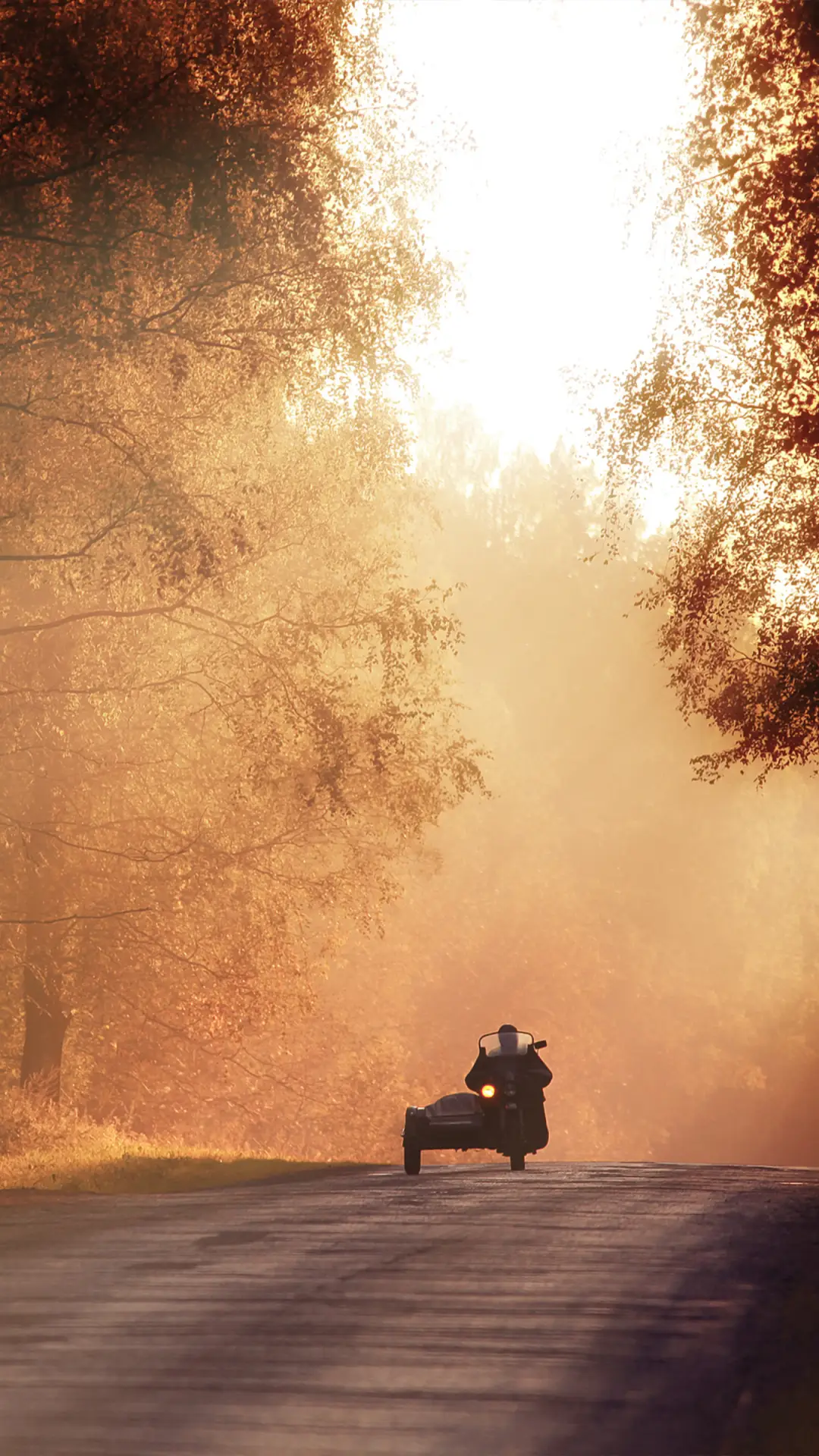 秋天到了-拍信图库 - Screenshot 1