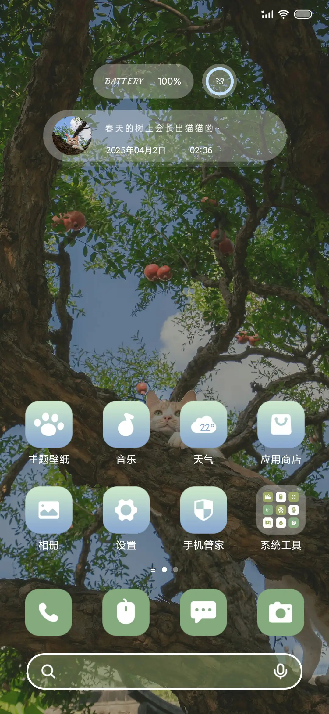 ins 树上的猫 - Screenshot 3
