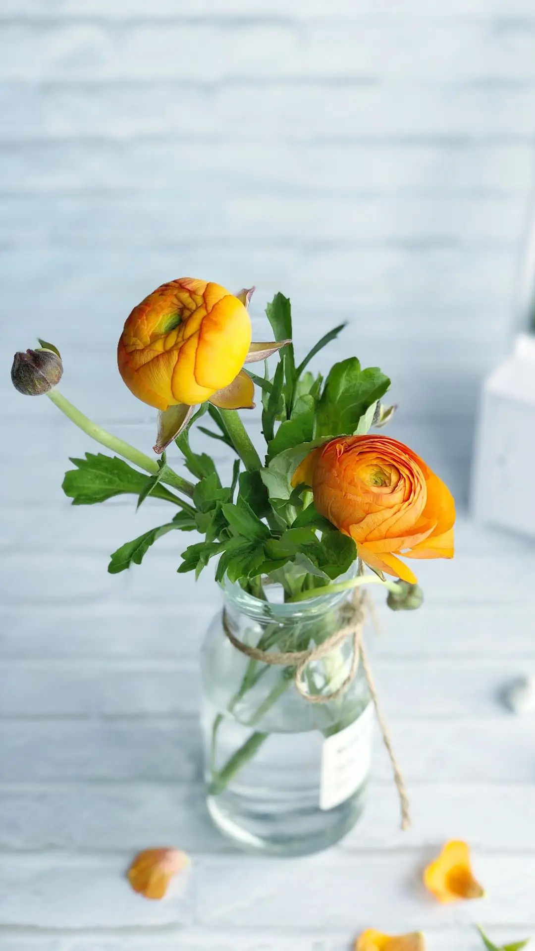 高尔基的经典语录