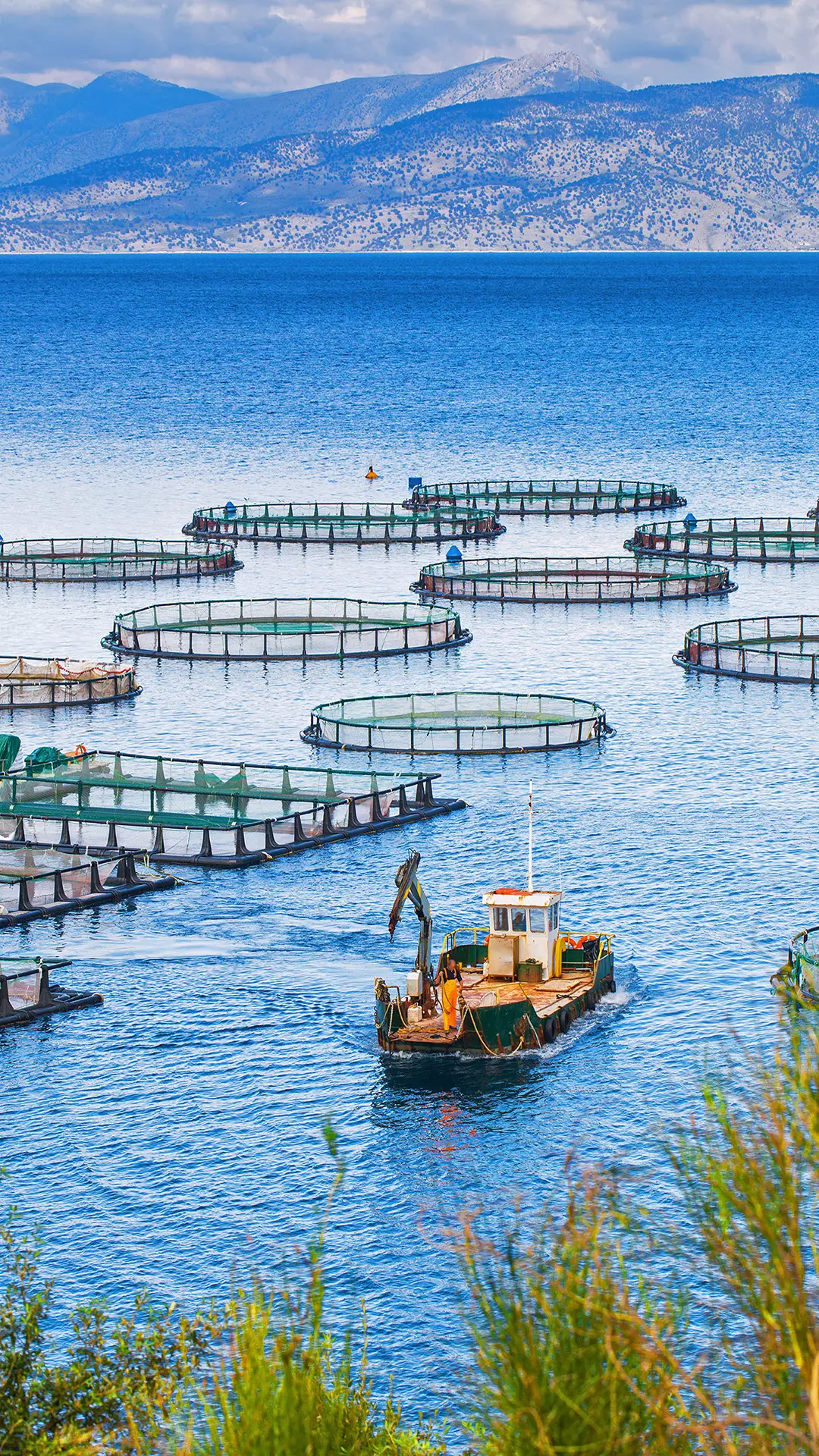 入目即蓝-拍信图库