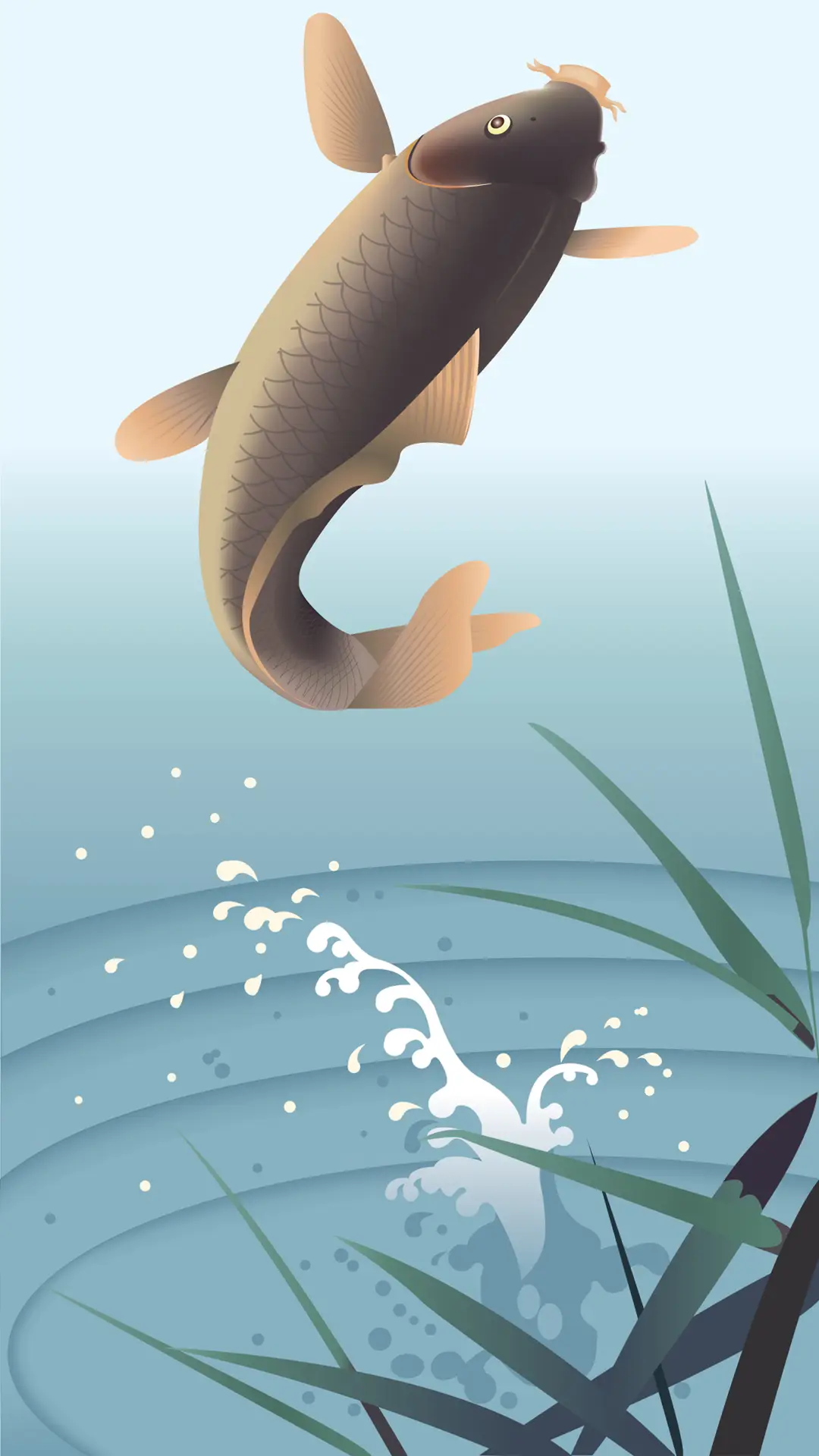 锦鲤附体-拍信图库