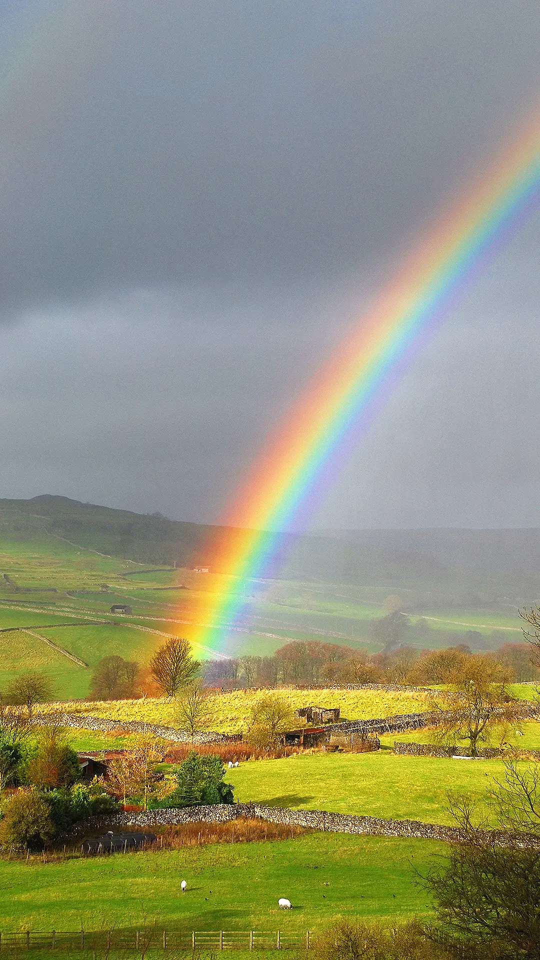 好运彩虹-拍信图库