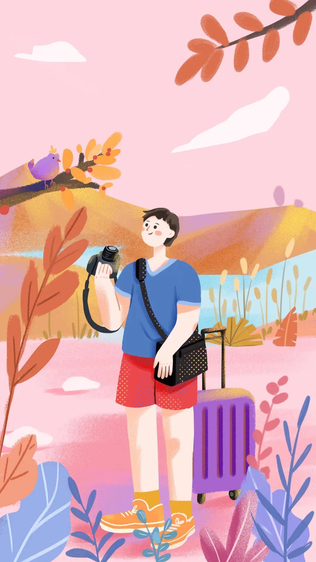 关于摄影的金句