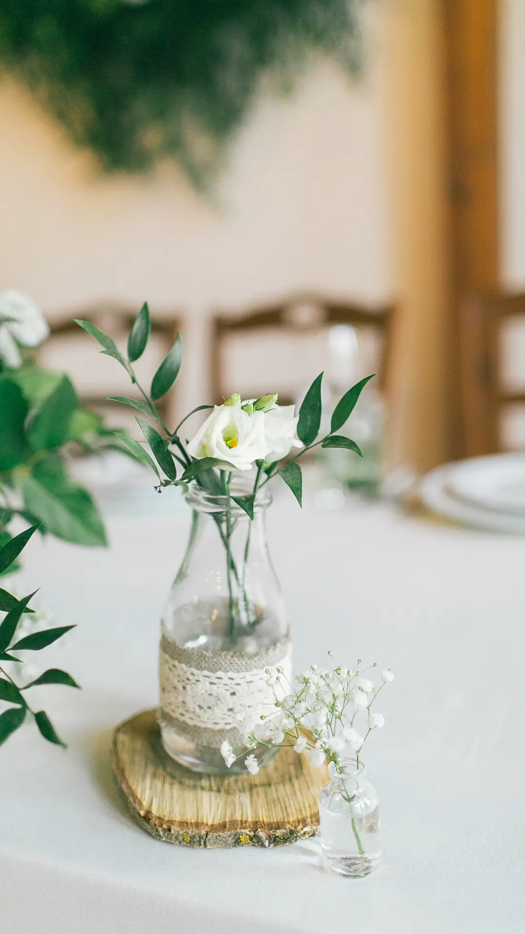 花花草草-锐景创意