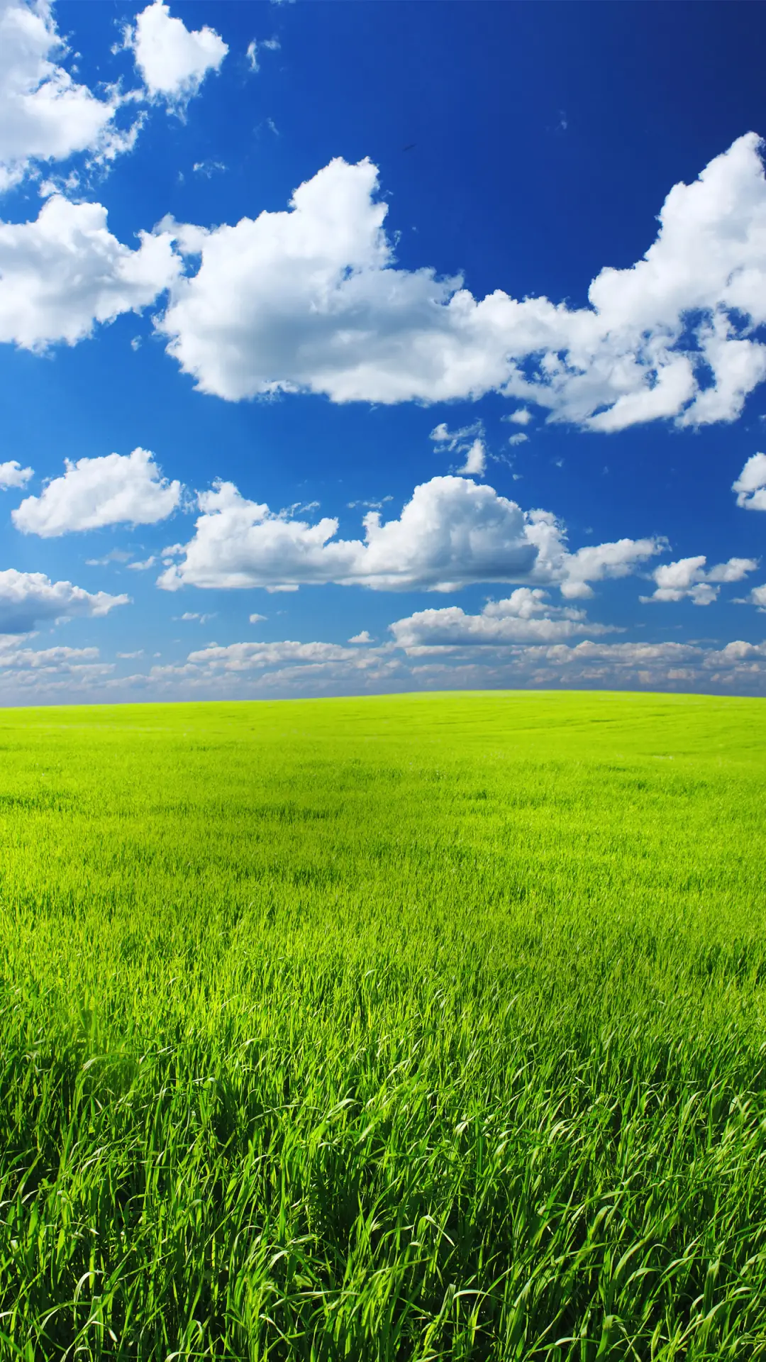 蓝天白云-拍信图库 - Screenshot 1