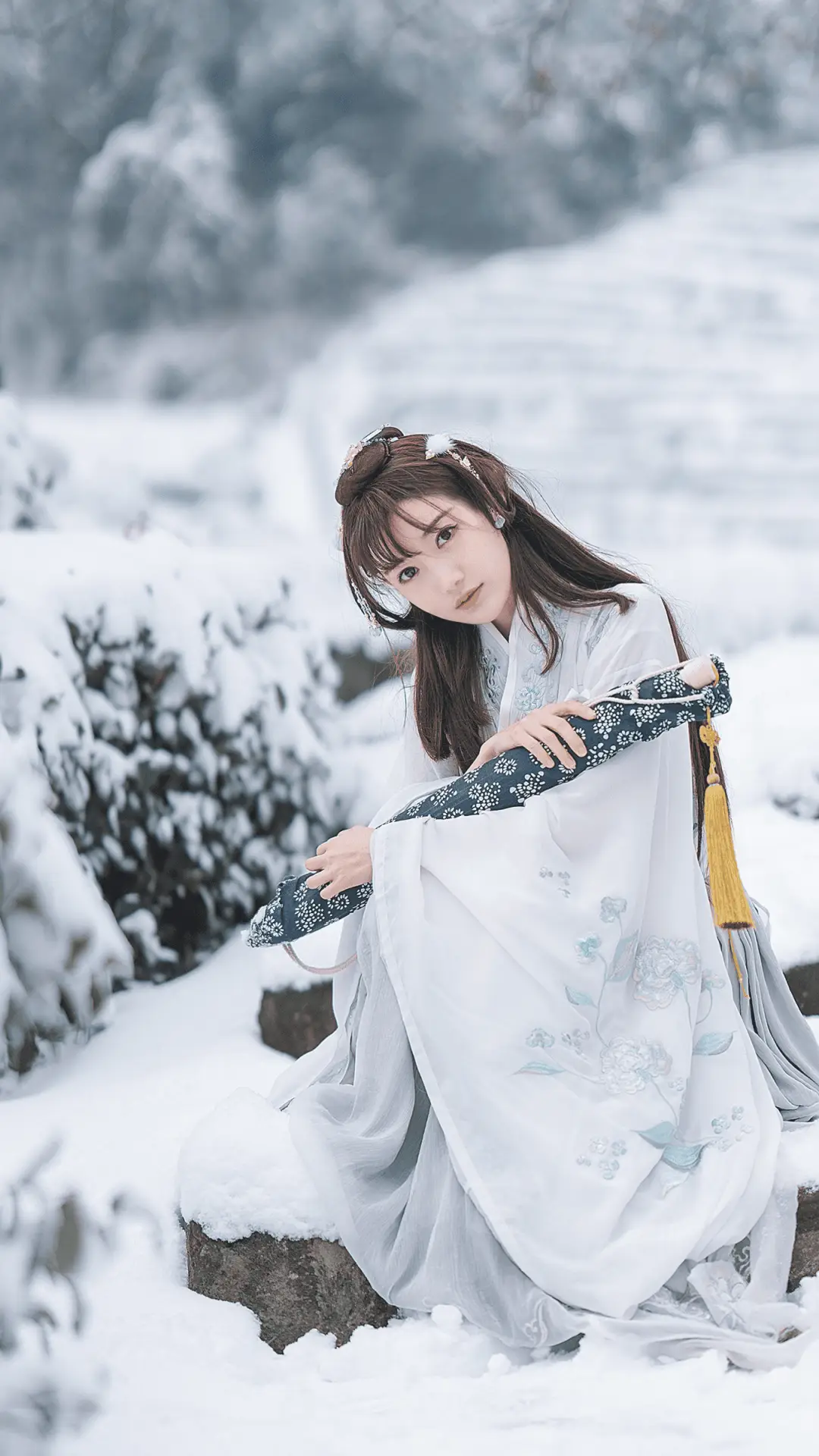 云想衣裳花想容-顶晟科技