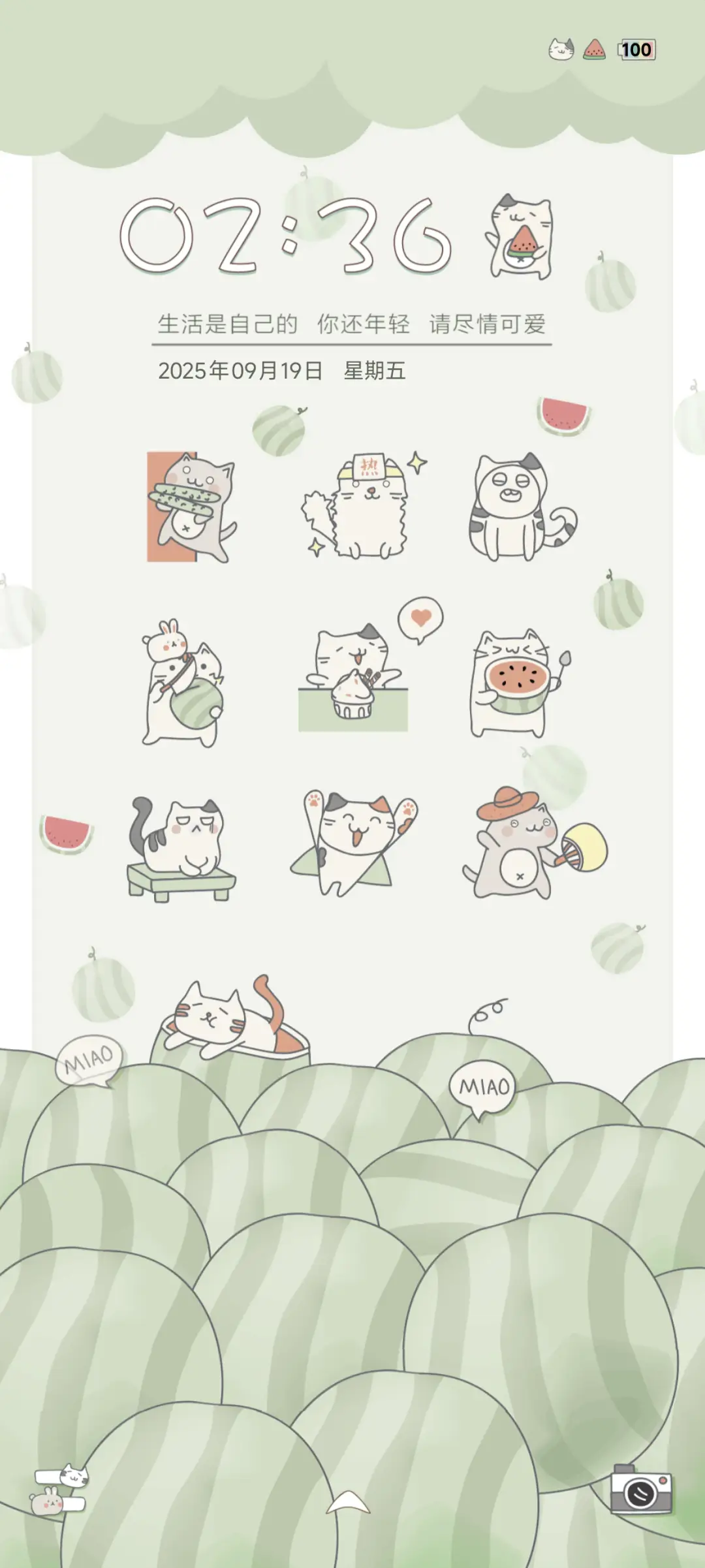 猫君的瓜 - Screenshot 2