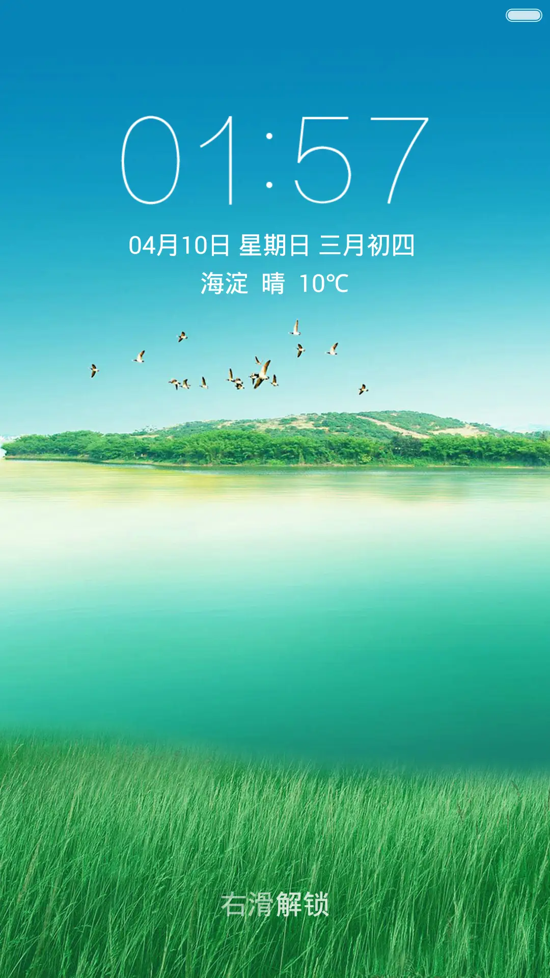 绿色湿地风景 清新护眼 右滑解锁