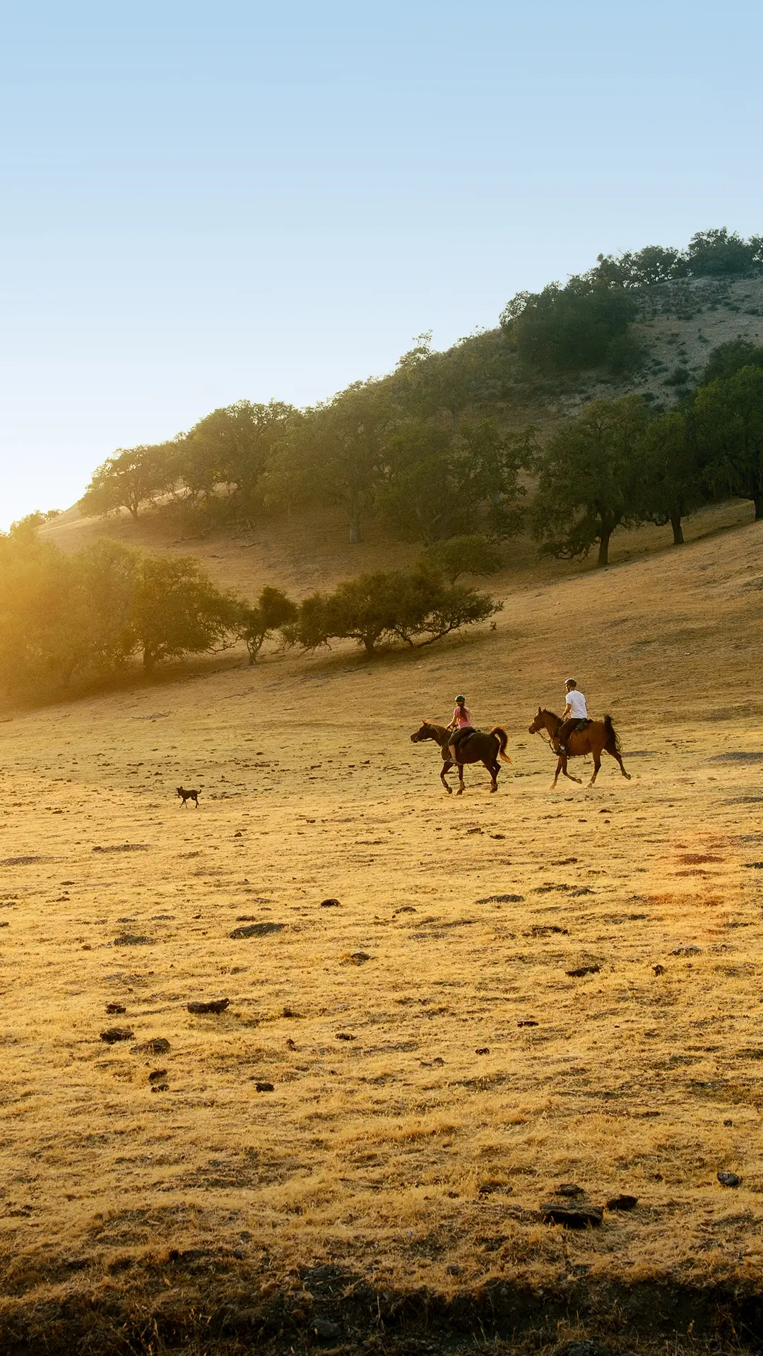 加州蒙特雷郡 - Screenshot 1