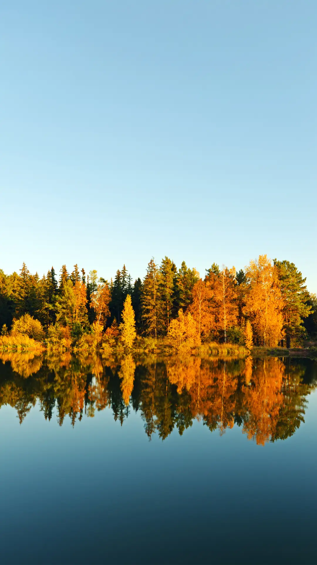 秋天的脚步-拍信图库 - Screenshot 1