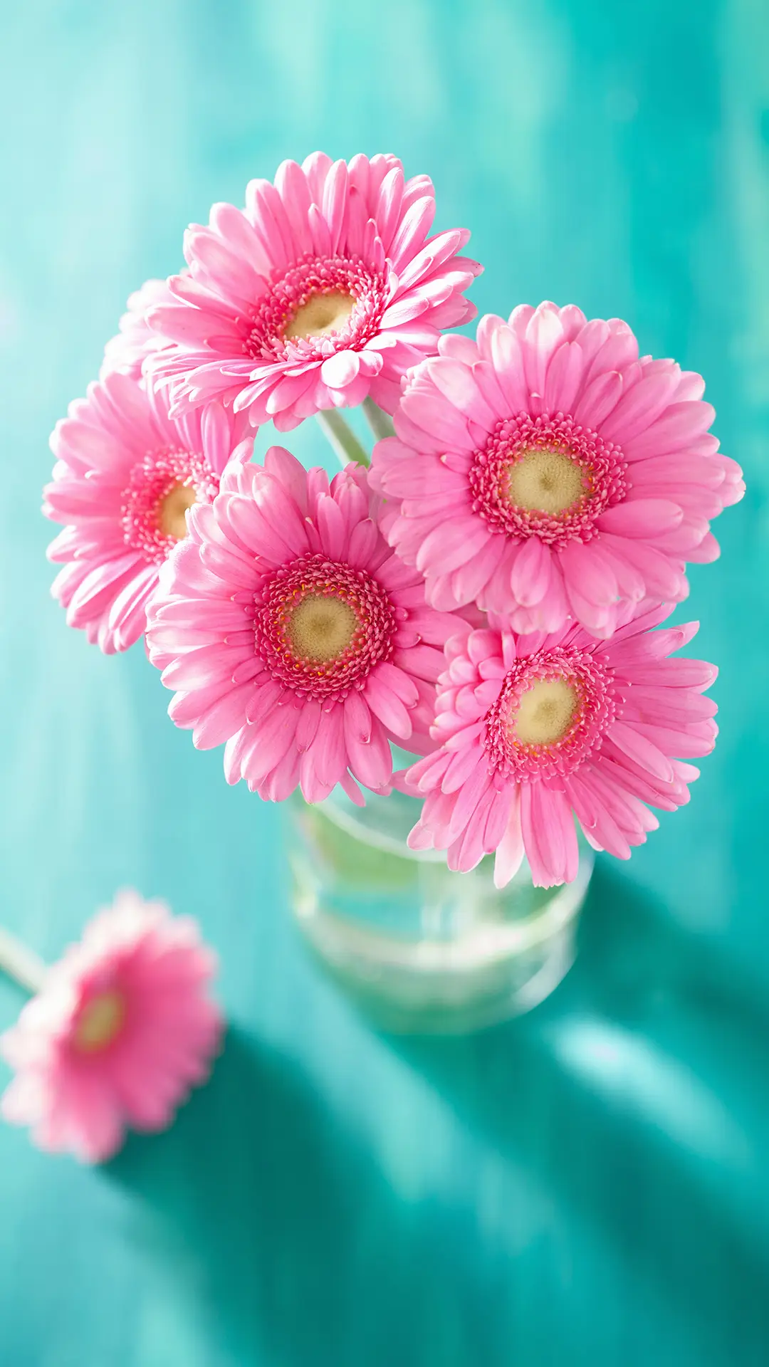 花与生活 - Screenshot 1