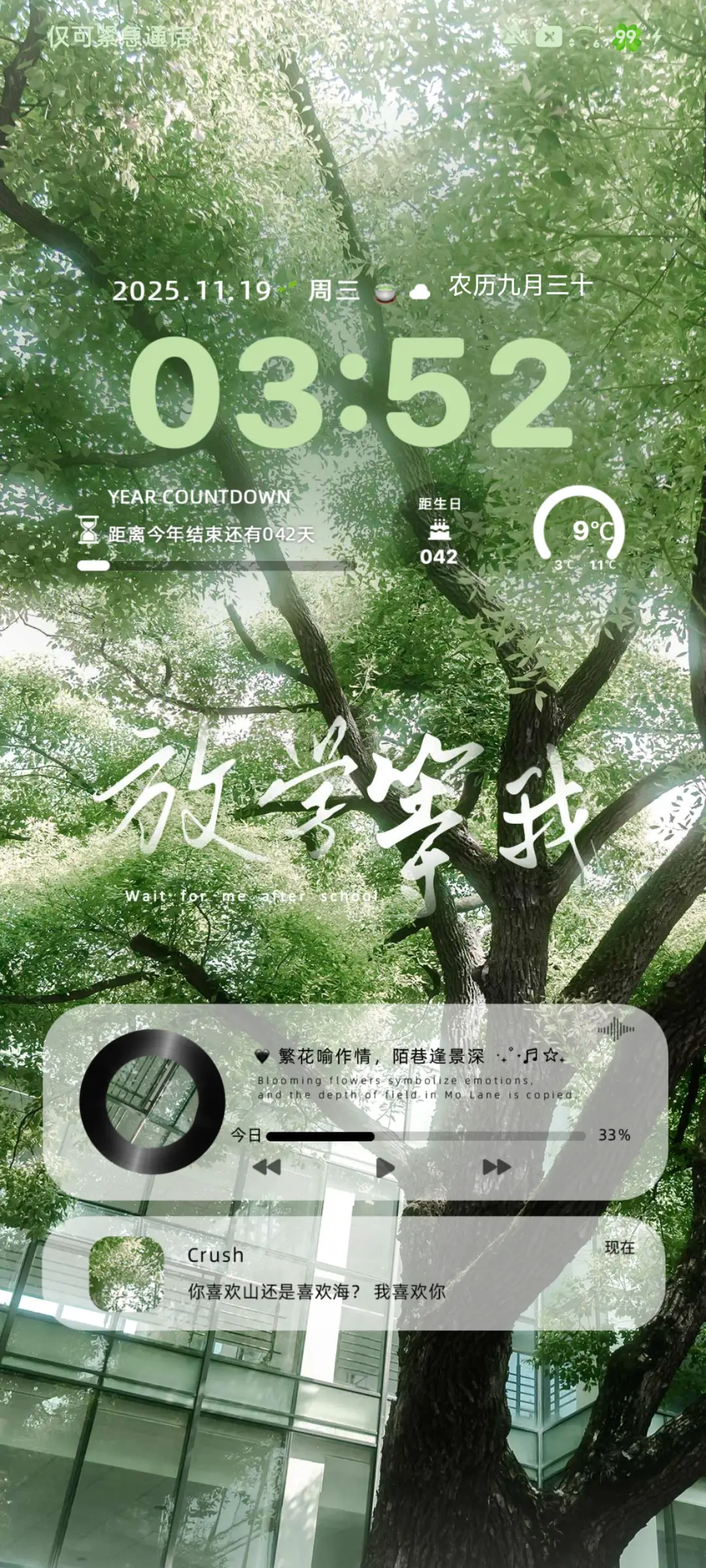 山海相逢繁花喻作情