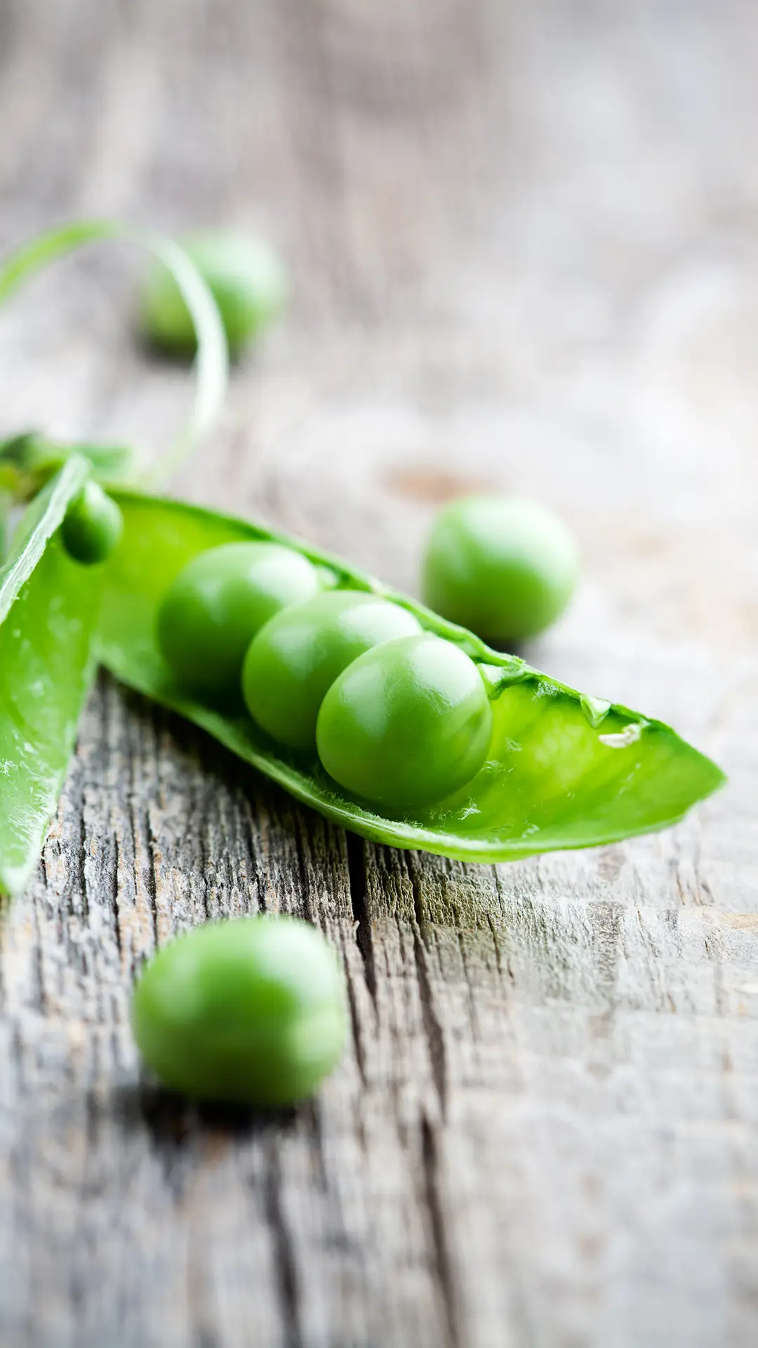 绿色蔬果-锐景创意 - Screenshot 1