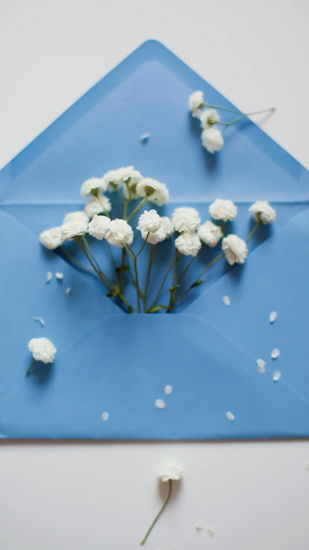 治愈壁纸-拍信图库