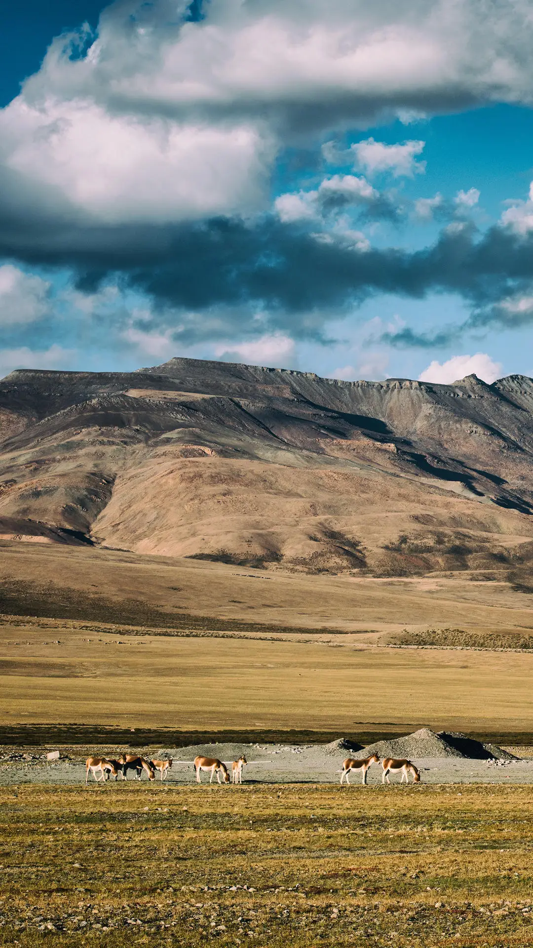 不堪重负的人间天堂