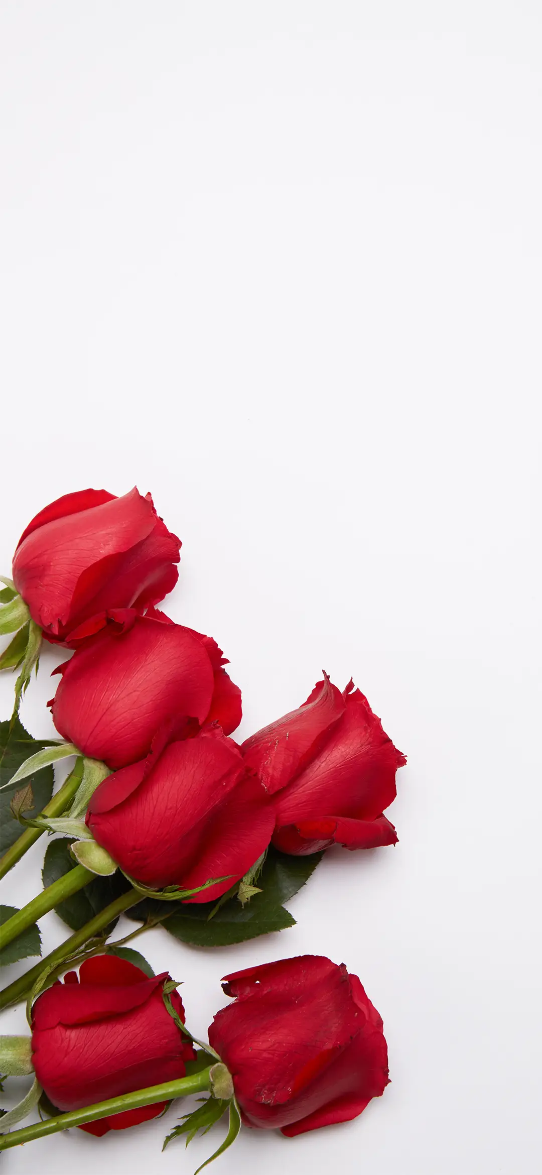 小清新花朵壁纸-锐景创意