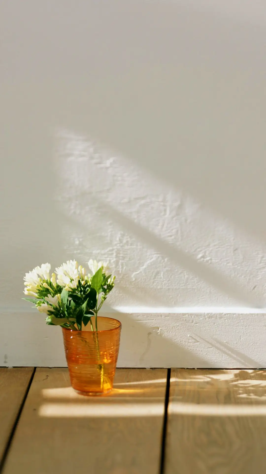 坚定自己的信念 - Screenshot 1