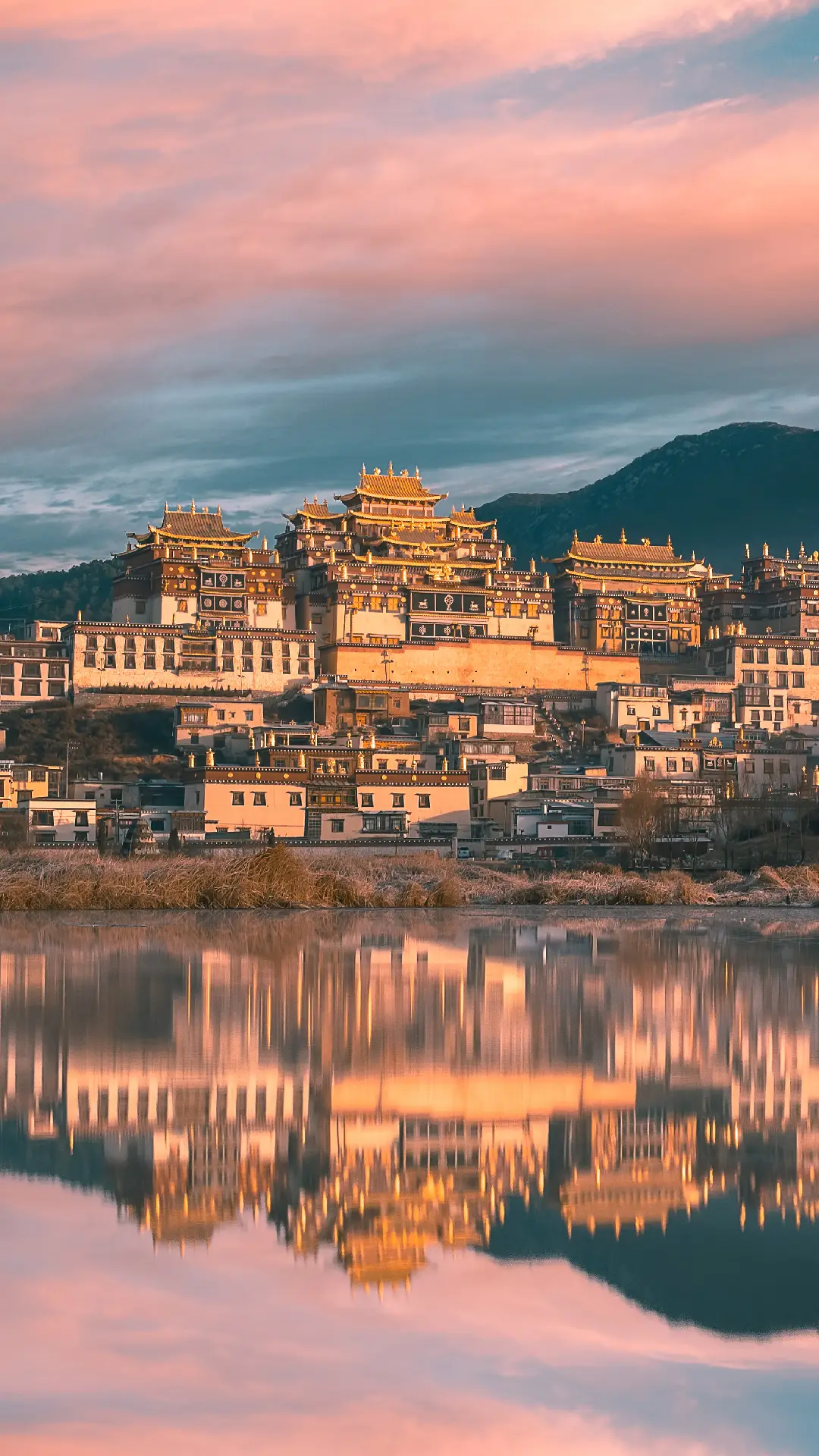 八月国内旅行去哪儿？