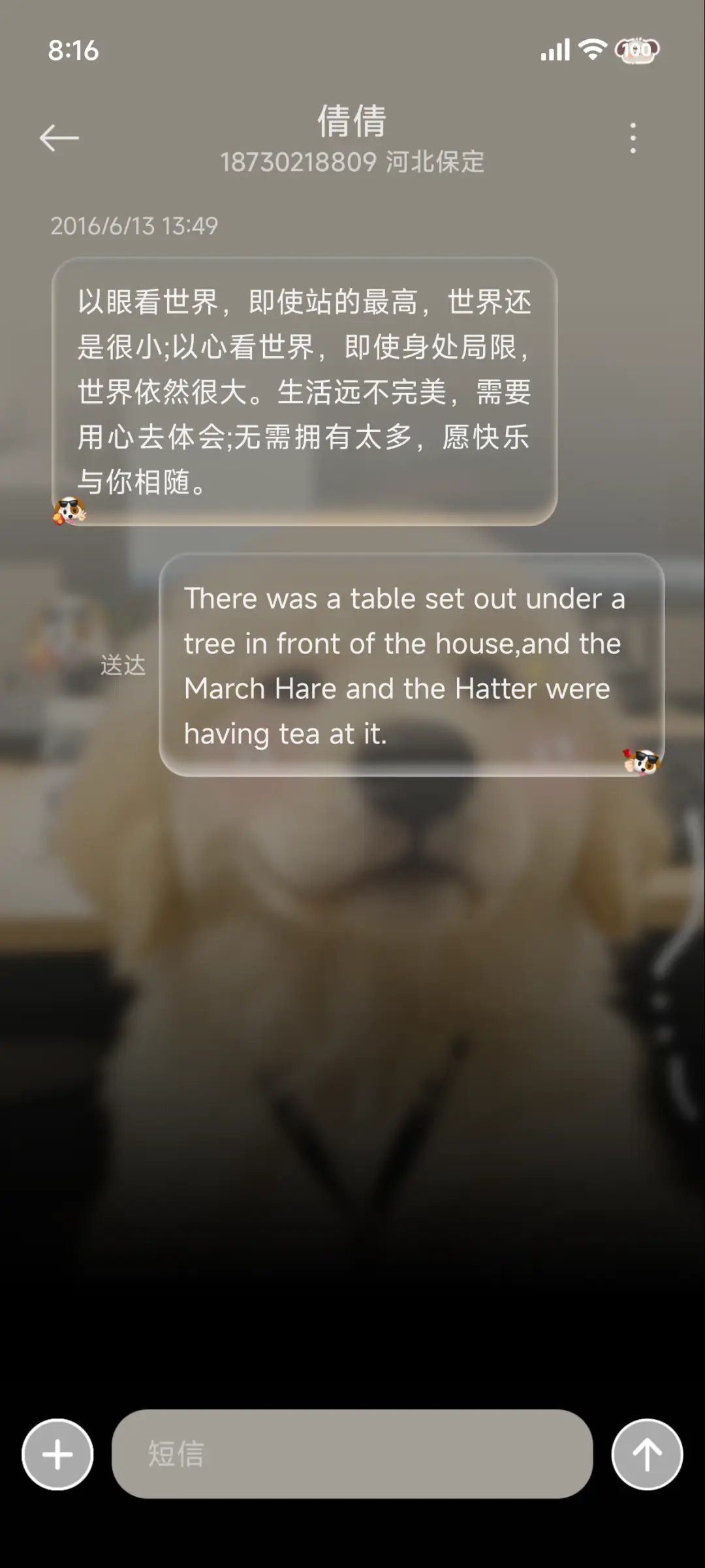 ins天选打工金毛 - Screenshot 14