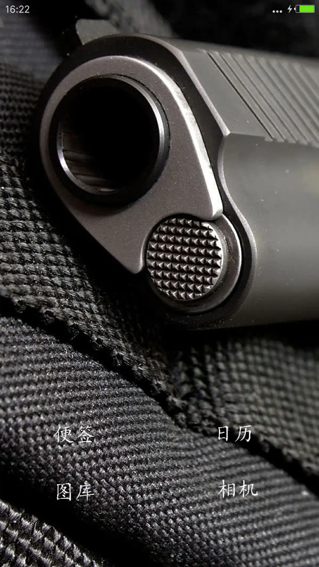 枪械欣赏（自由桌面+全图标） - Screenshot 4