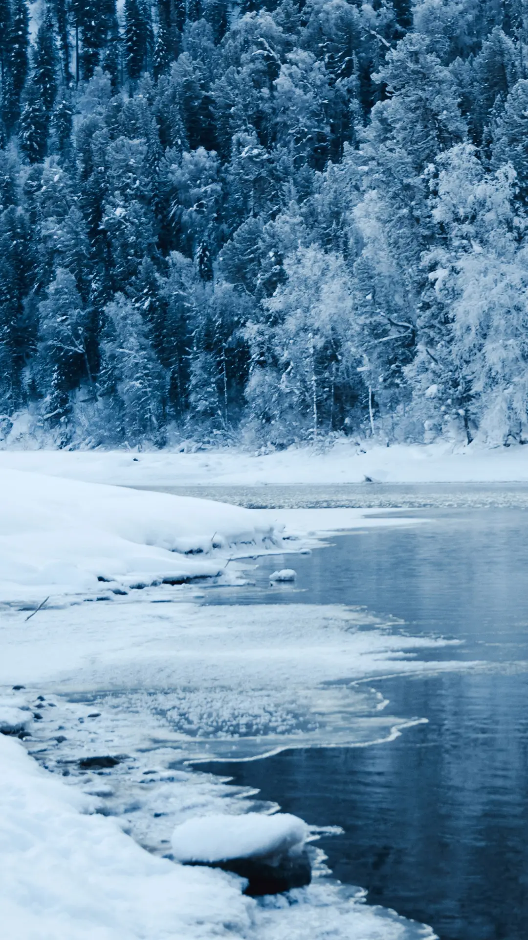 冬日壁纸-拍信图库