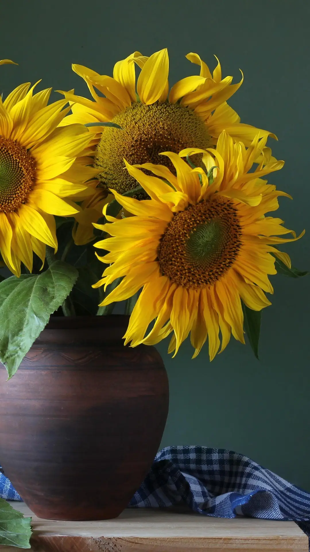 友谊地久天长 - Screenshot 1