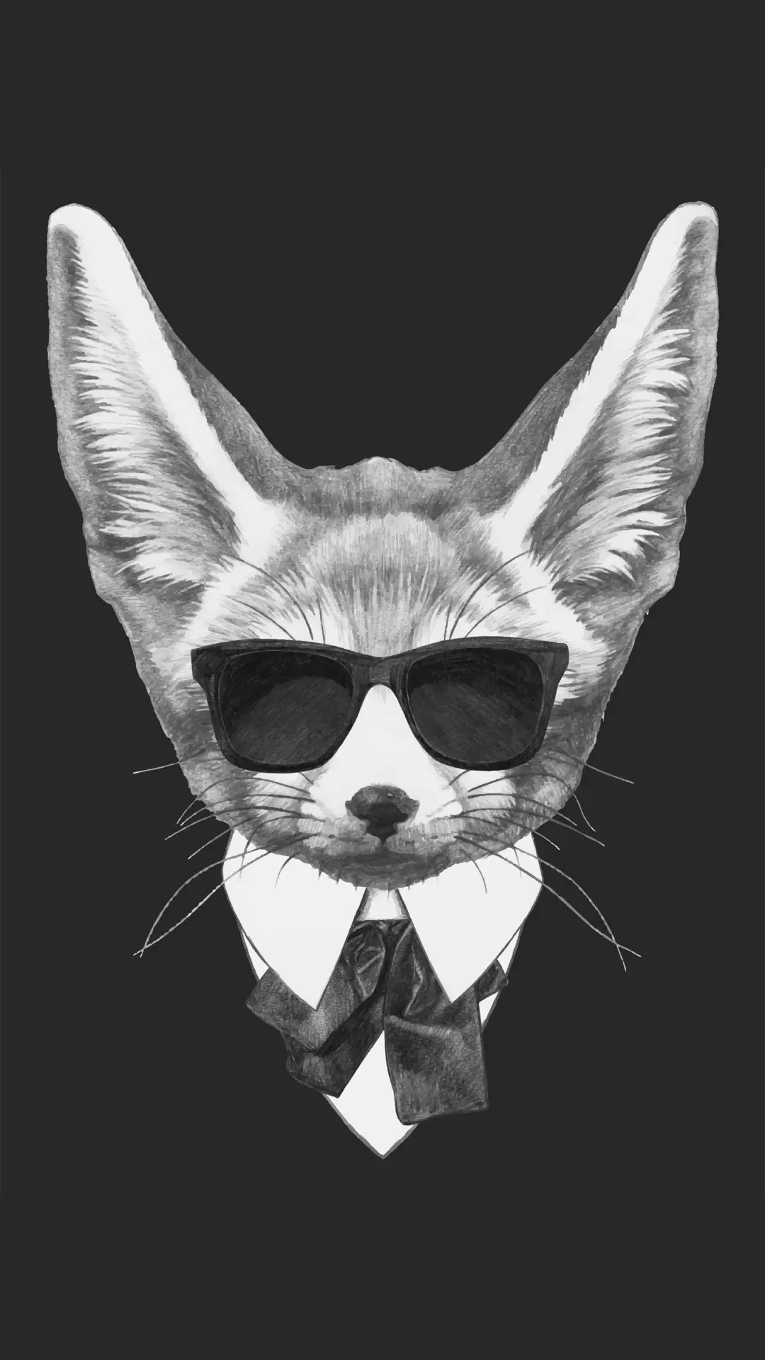 社会猫老大-拍信图库