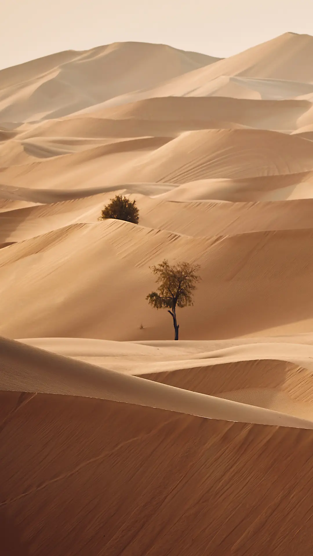 沙漠美景-拍信图库