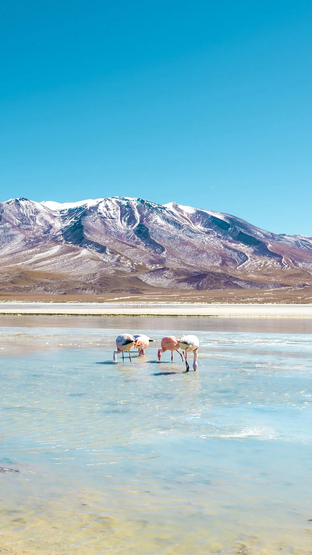 比国内游便宜的好去处