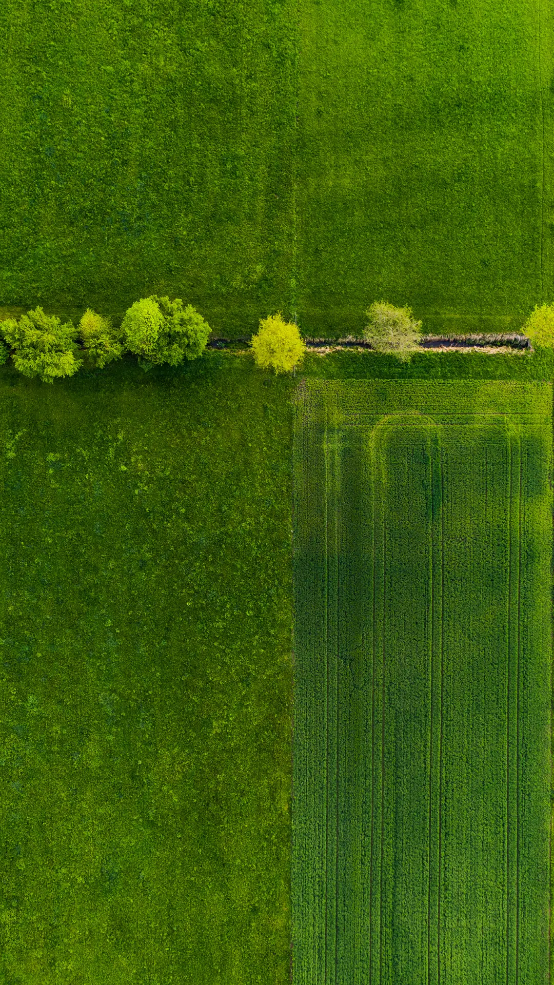 田园风光-拍信图库