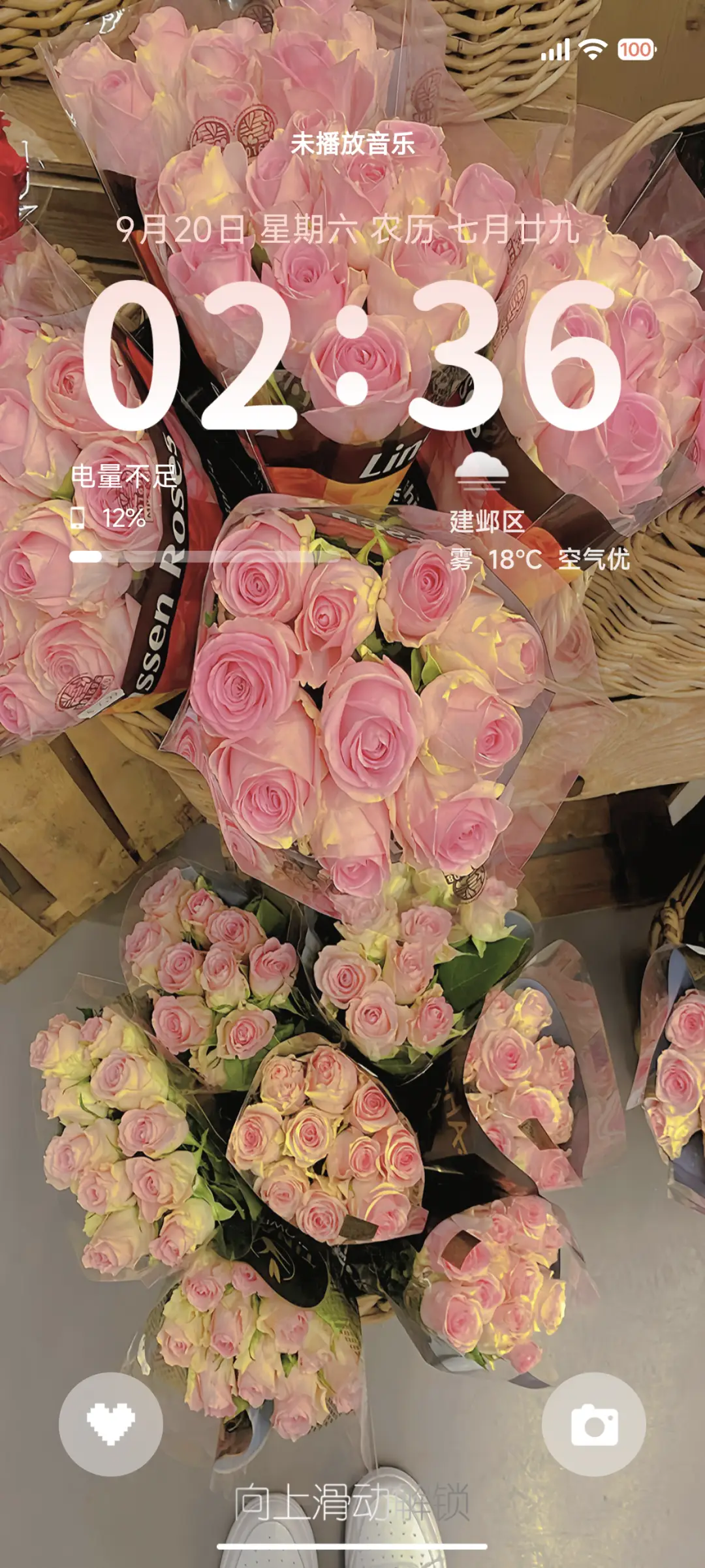 ins风壁纸 花世界