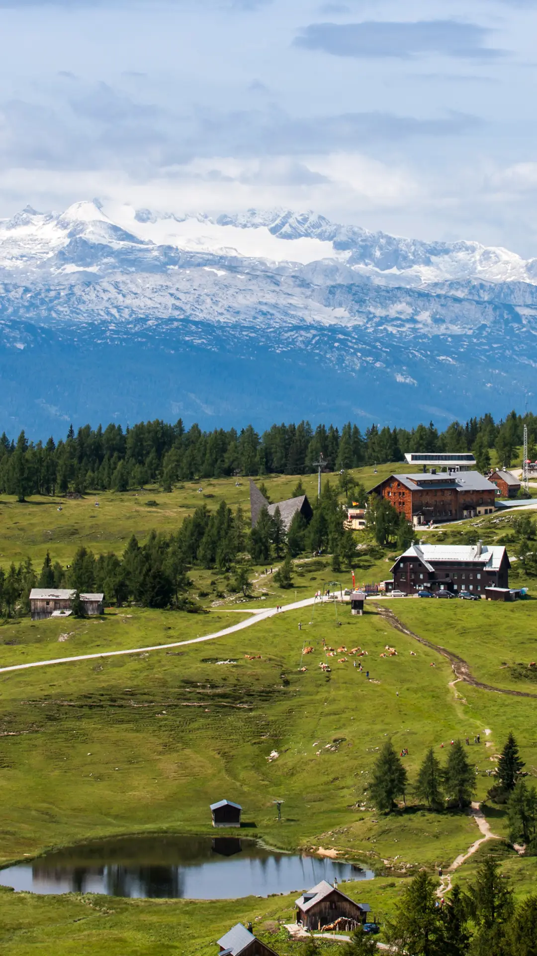 绿色草原-拍信图库